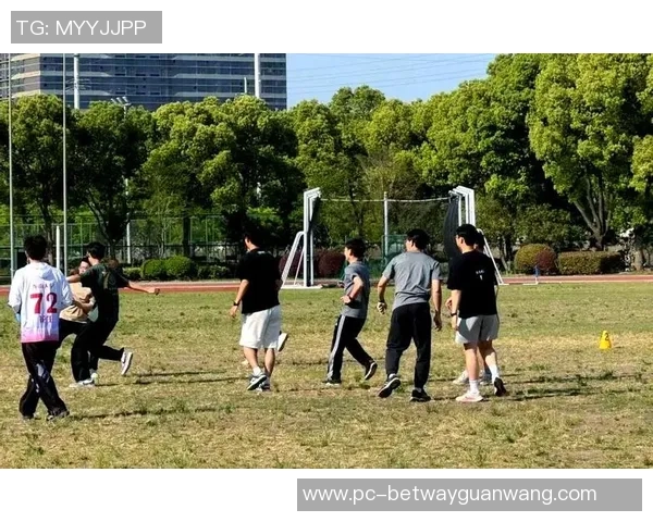 2026年3月份新闻成都飞盘队配合表现数据分析揭示团队协作与战术执行的关键因素